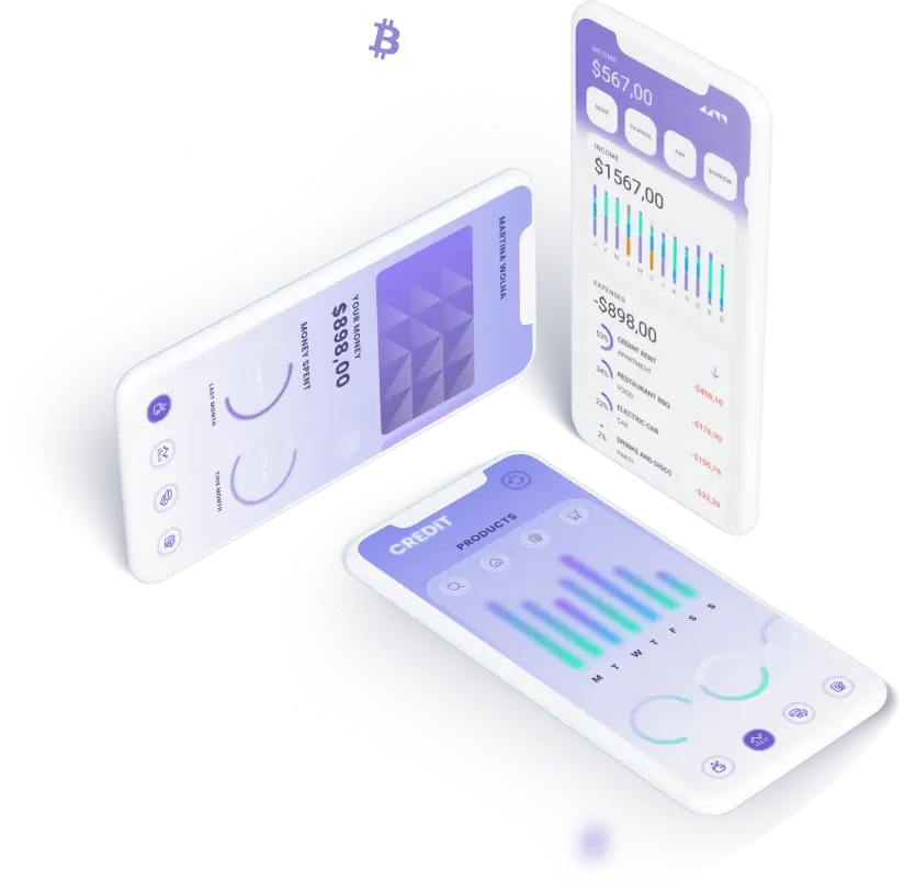 Walletix Ecológico - Harnessing the Capabilities of the Walletix Ecológico Application